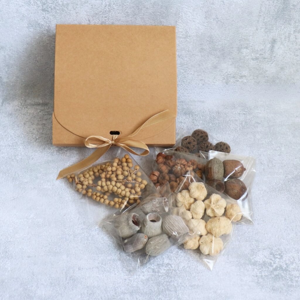 Dekorační box s přírodními plody – mix putka, bellgum, canella, ježek a paras pro aranžování a DIY dekorace